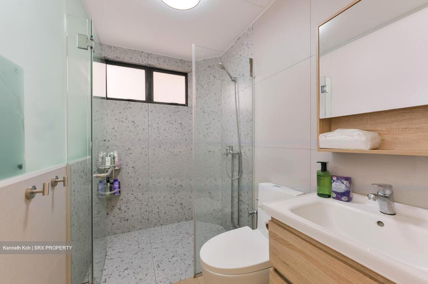 Bayshore Park (D16), Condominium #480119941